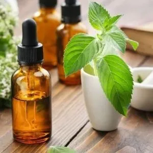 Spearmint Oil L-carvone – Standard Packing – 25 kgs HDPE box – $40/kgs